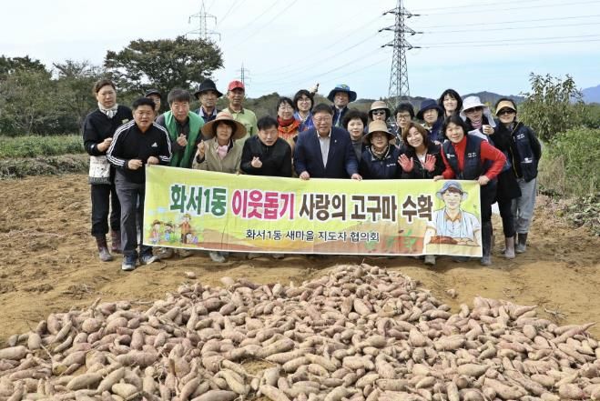 수원시 팔달구 화서1동 새마을지도자협의회, '2025 사랑의 고구마 수확 행사' 진행