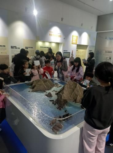 강원특별자치도교육청 2025 독도의날 행사‘독도에 퐁당’실시