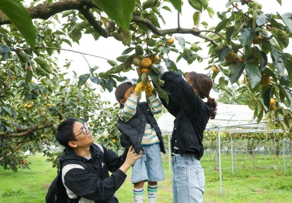 국제농업박람회 풍요의 정원