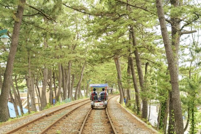 해양레일바이크