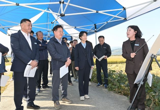 공주시 벼 수확·수매 현장 방문