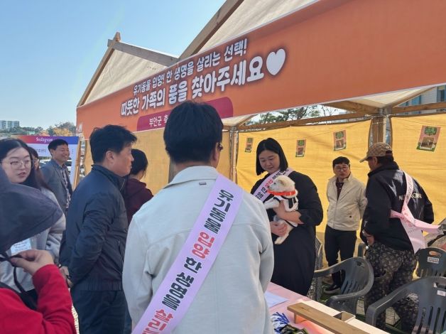 부안군, 유기동물 입양 홍보부스 운영