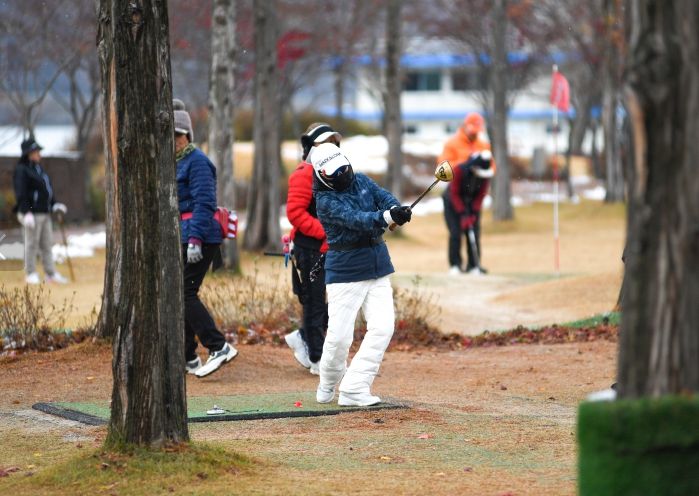 지난해 11월 열린 2024 전국 파크골프 왕중왕전