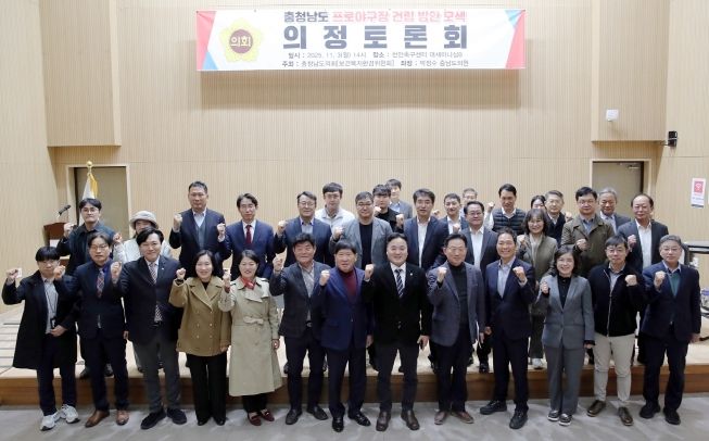 충청남도 프로야구장 건립 방안 모색