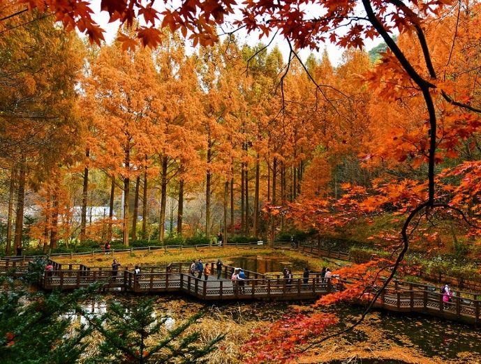 장태산휴양림 한 달간 교통대책 추진