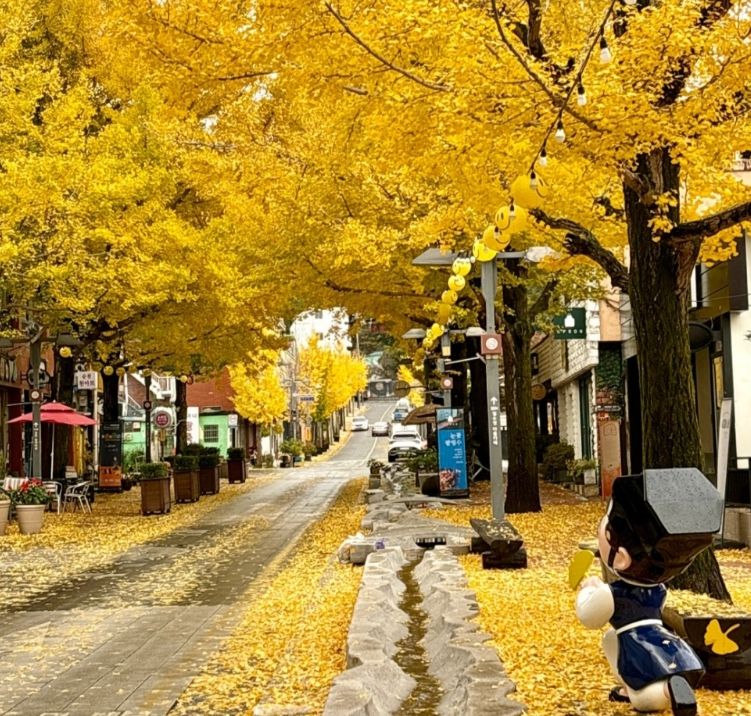 가을감성 가득한 ‘은행나무아래로’ 축제 개막