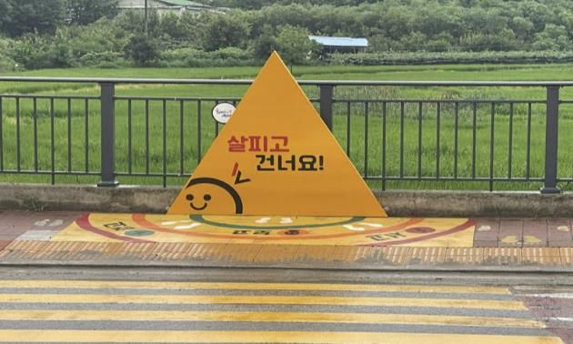 탕정초교 어린이보호구역 옐로카펫