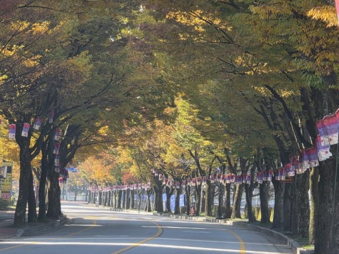 남원시‘도시바람길숲 조성사업’공모 선정