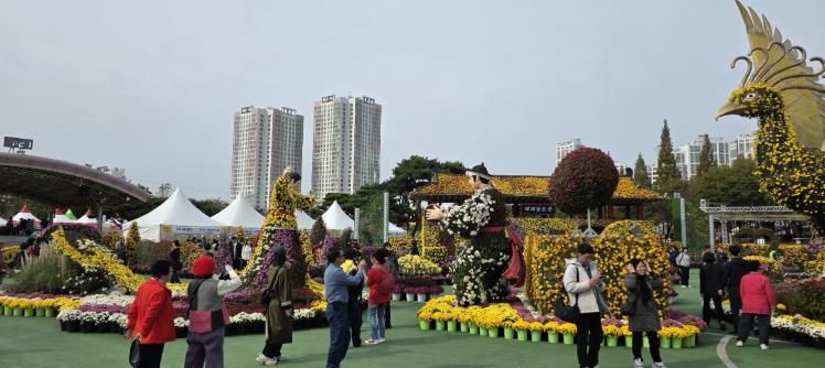 익산 천만송이 국화축제, 연장 전시까지 큰 호응