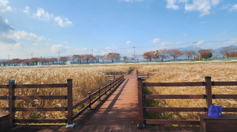 해파랑길 44코스