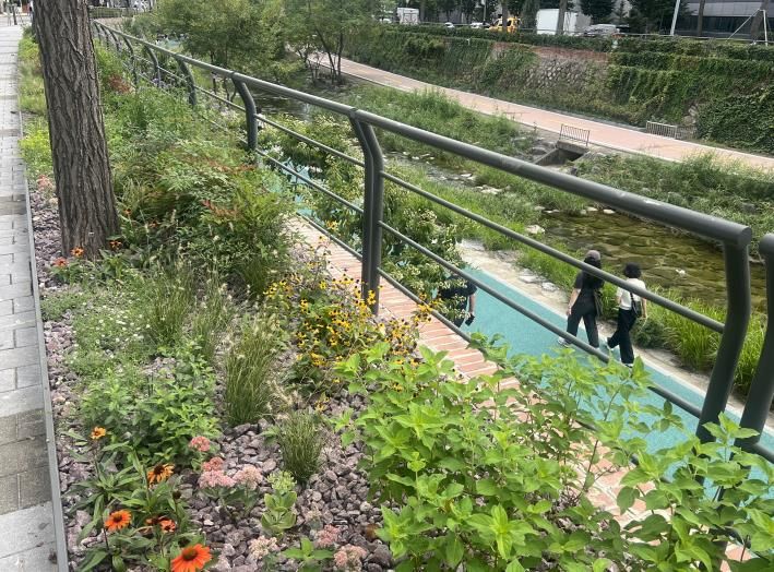 도심 속 자연과 만나는 열린 공간, 성북구 수변 라운지 탄생