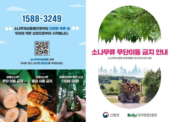 소나무류 무단이동 금지 안내 홍보물