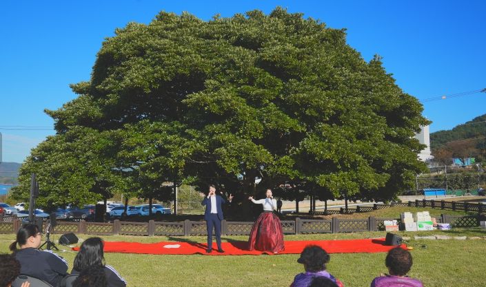 남해군 천연기념물 500년 왕후박나무