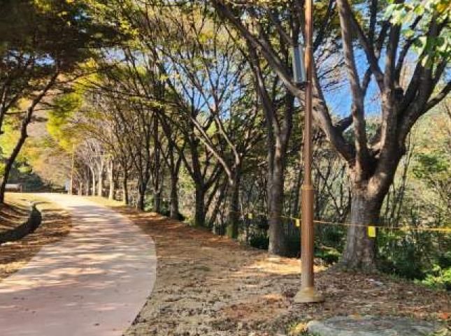 보행로 보수 후