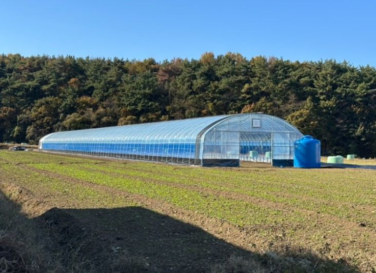 고성군 마을 공동 소득작물 육성 사업