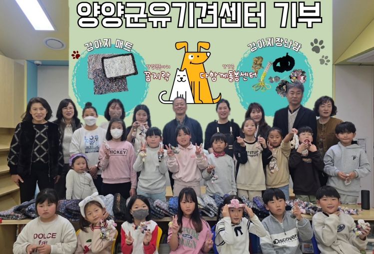 다함께돌봄센터 유기견 매트, 장난감 전달