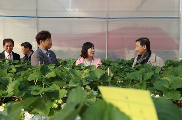 진안군, 부귀면 딸기・샤인머스캣 농가 방문으로 현장행정