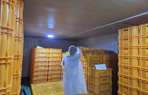 2025년 부산시 특사경~점검