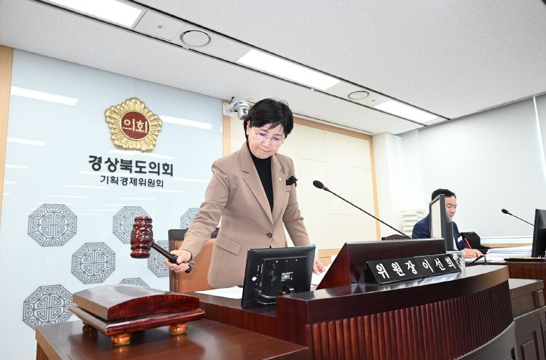 기획경제위원회 회의를 진행하는 이선희 위원장