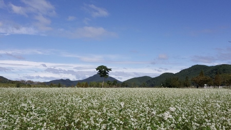 성산지구. (사진=의령군 제공)