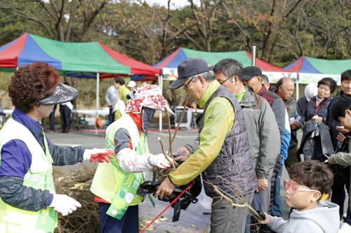 (사진=익산시 제공)