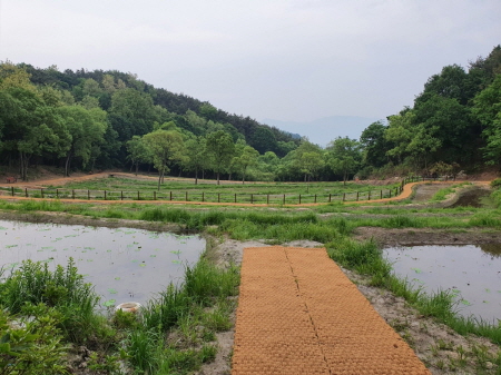 거열산성군립공원 (사진=거창군 제공)