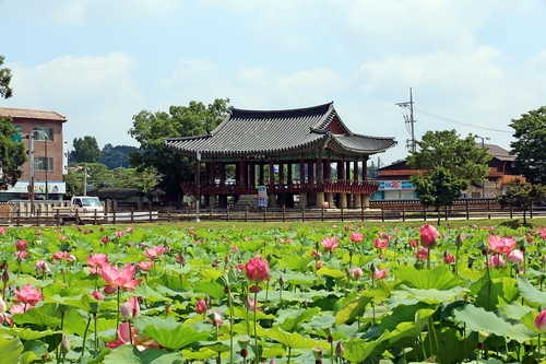 (사진=정읍시 제공)